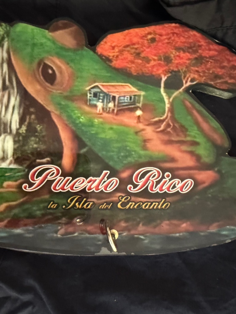 Puerto Rico souvenir